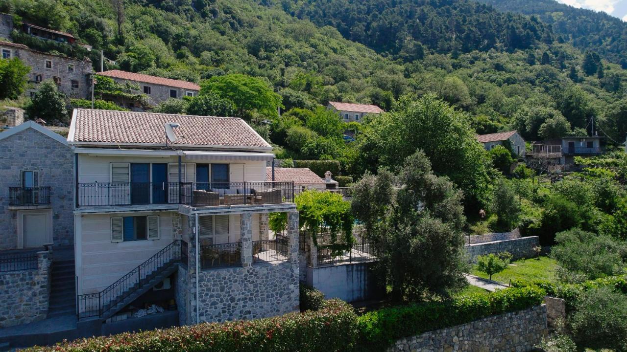 Villa Dub Kotor Buitenkant foto