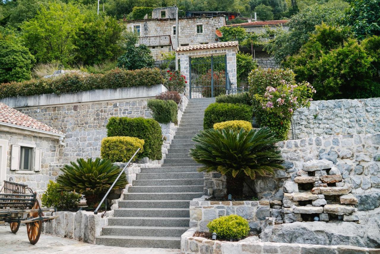Villa Dub Kotor Buitenkant foto
